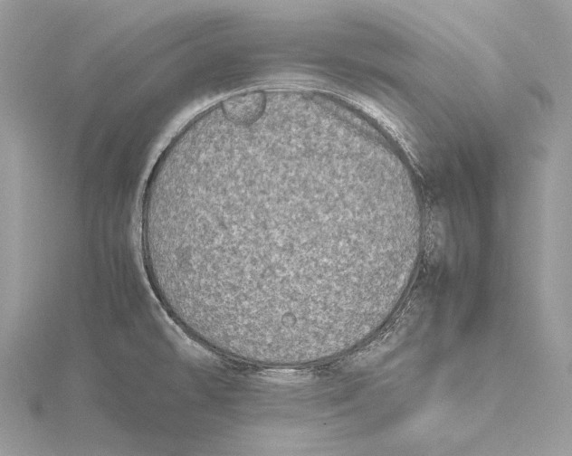 X0000115541478200912041000