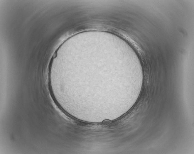 X0000115541479200912041000