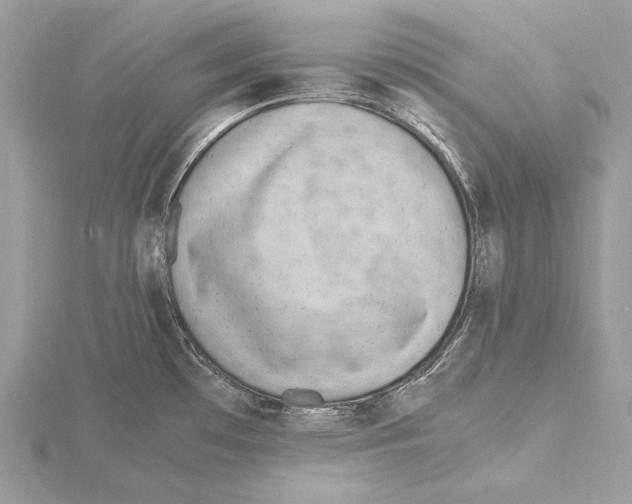 X0000115541481200912041000