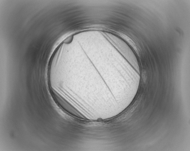 X0000115541482200912041000