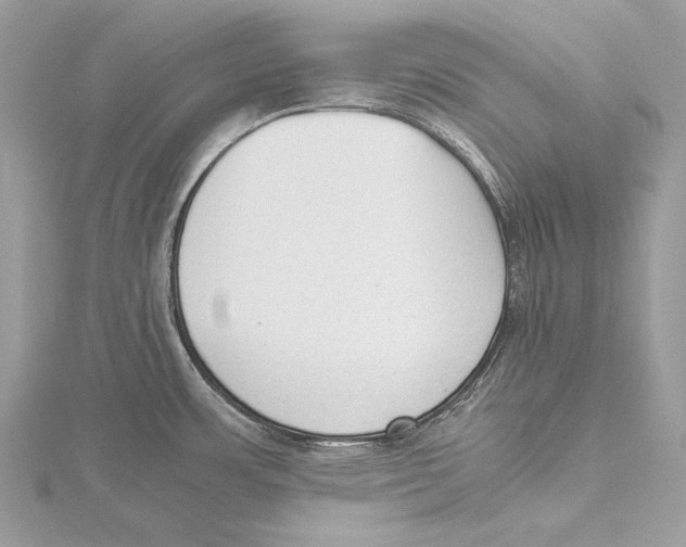 X0000115541483200912041000