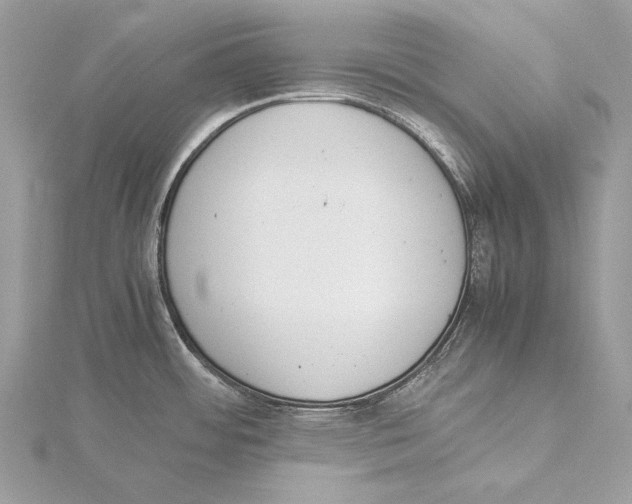 X0000115541484200912041000