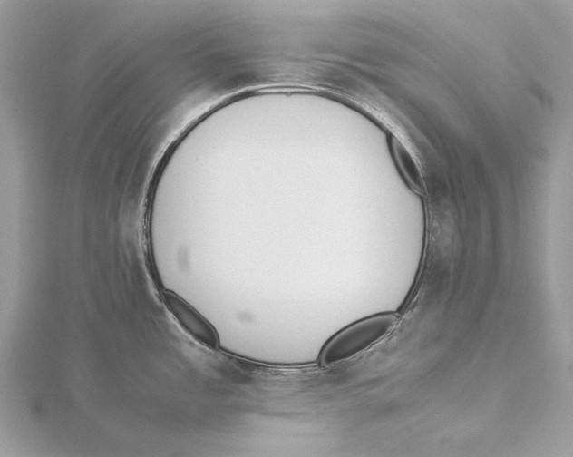 X0000115541485200912041000