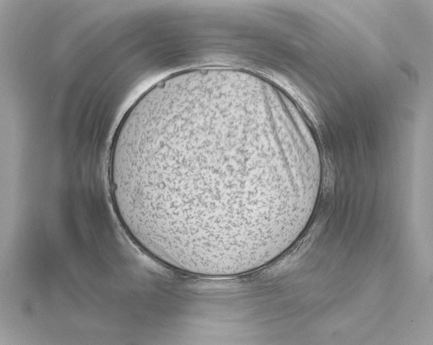 X0000115541486200912041000