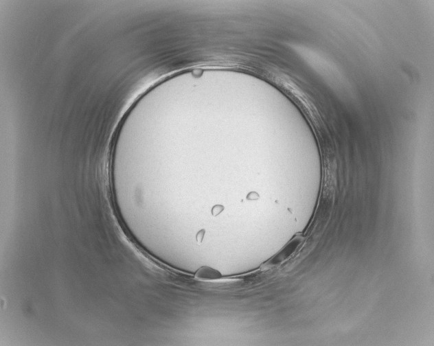 X0000115541487200912041000