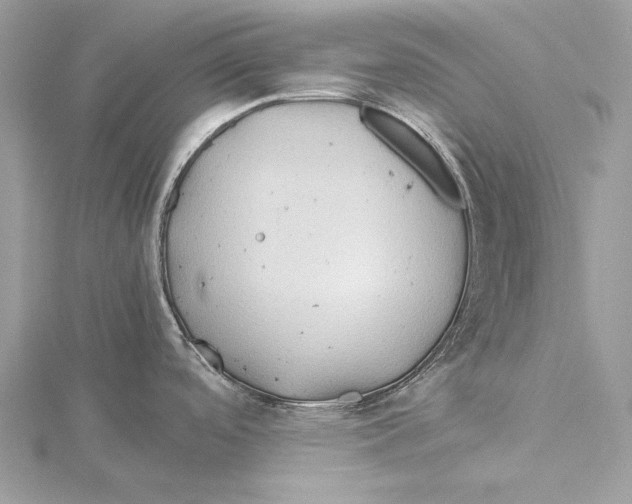 X0000115541488200912041000