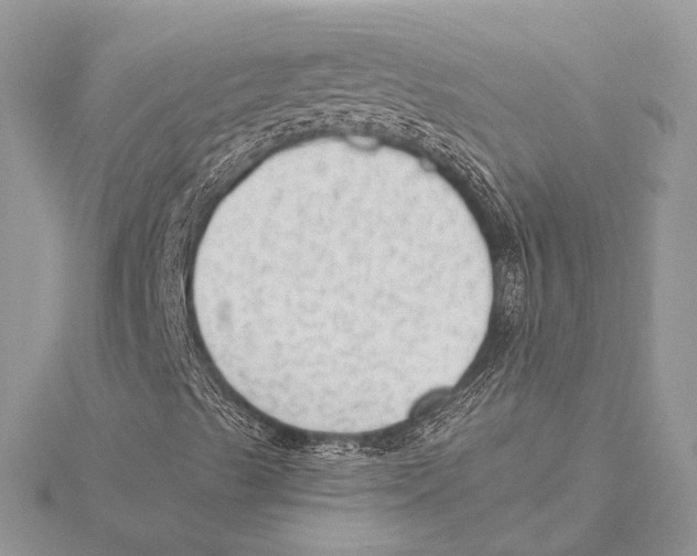 X0000115541489200912040959