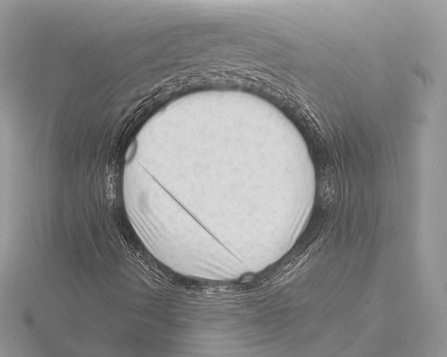 X0000115541490200912040959