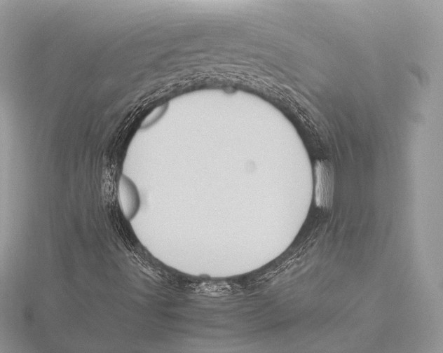 X0000115541491200912040959