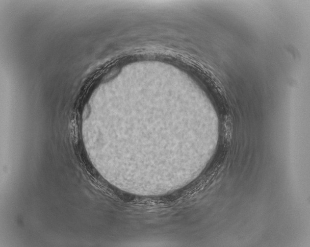 X0000115541493200912040959