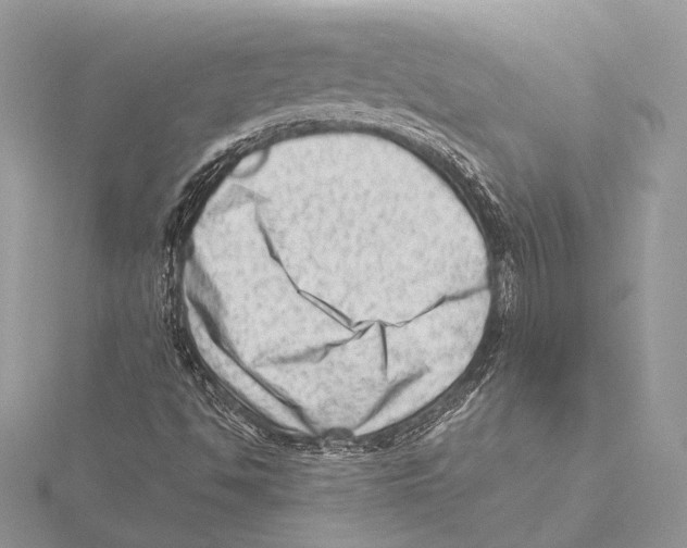 X0000115541494200912040959