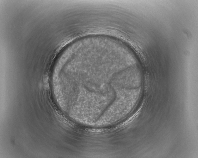 X0000115541497200912040959