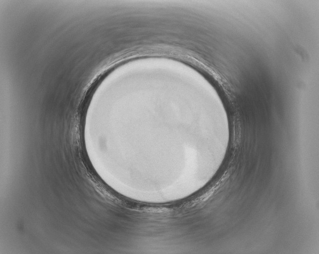 X0000115541498200912041000