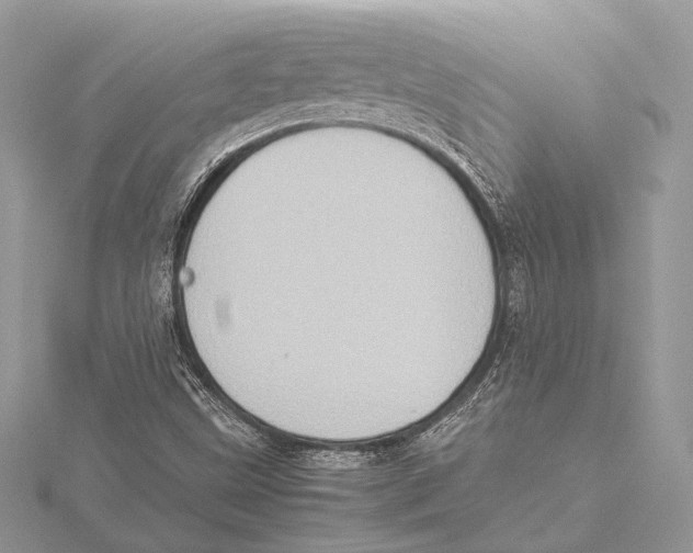 X0000115541499200912041000