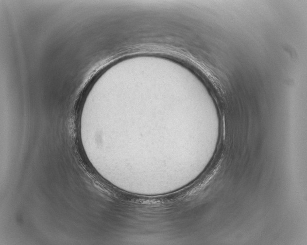 X0000115541501200912041000