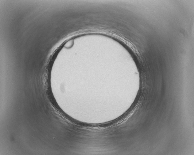 X0000115541502200912041000