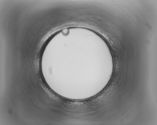 X0000115541503200912041000