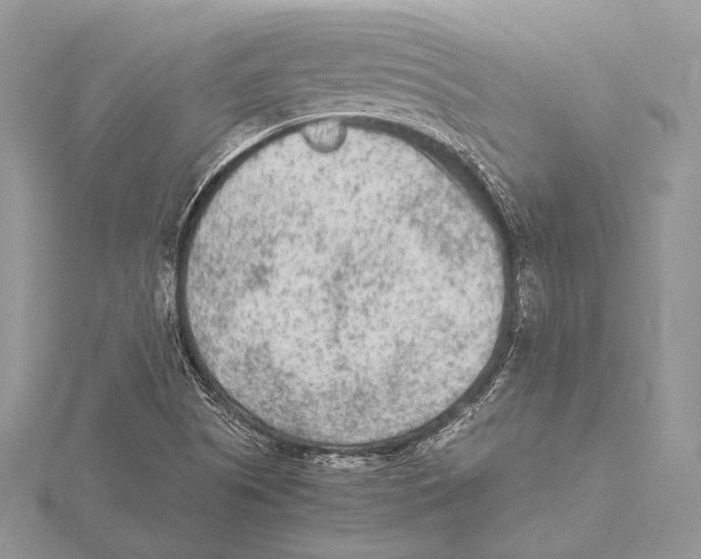 X0000115541505200912041000