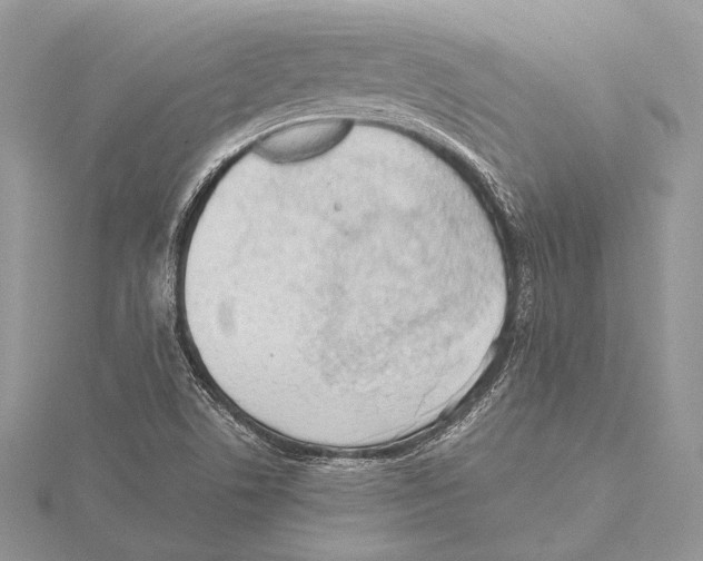 X0000115541506200912041000