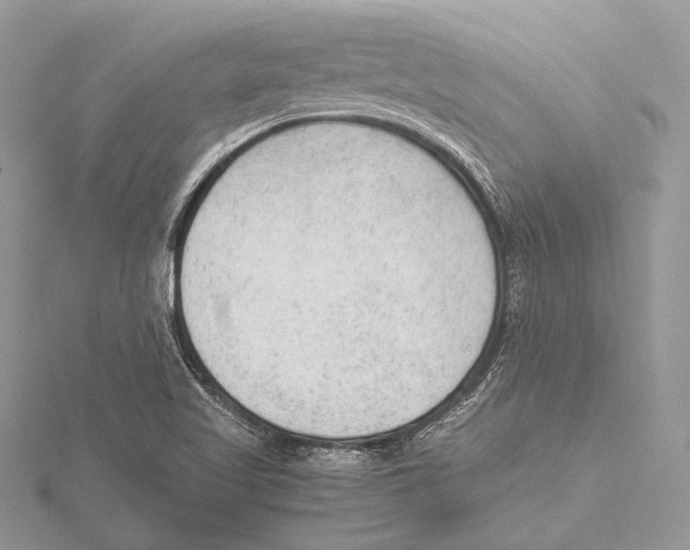 X0000115541509200912041000