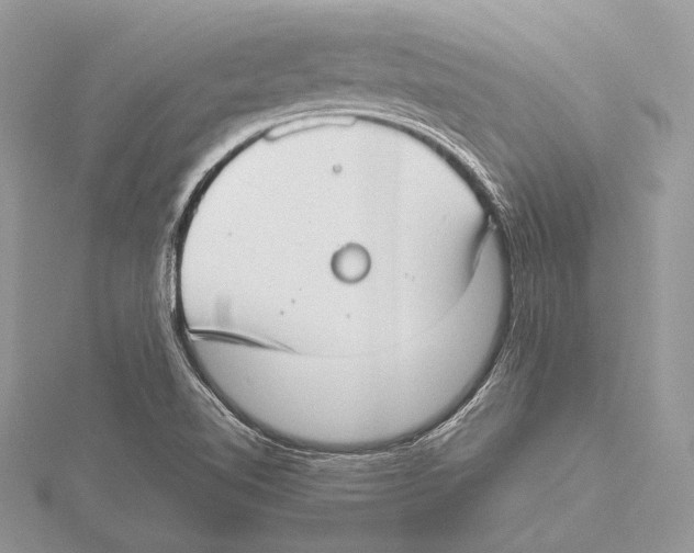 X0000115541510200912041000