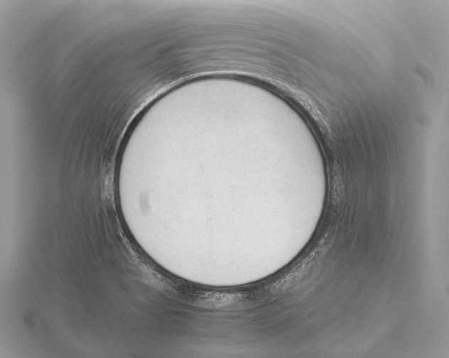 X0000115541513200912041000