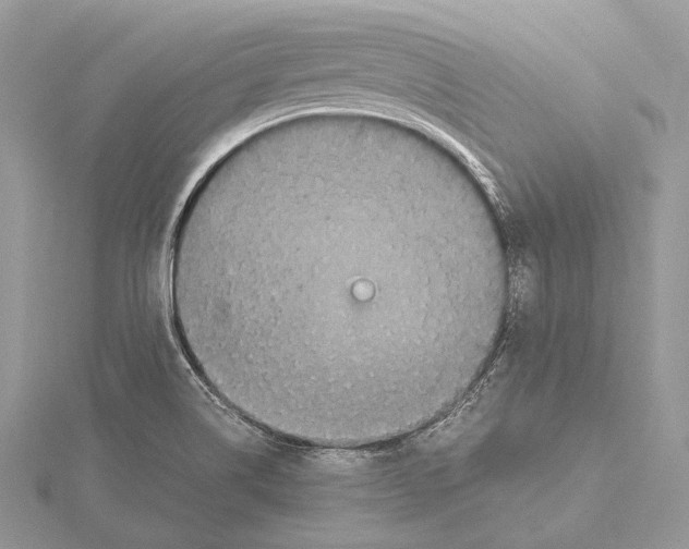 X0000115541514200912041000