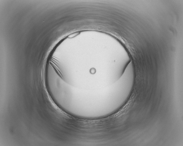 X0000115541515200912041000