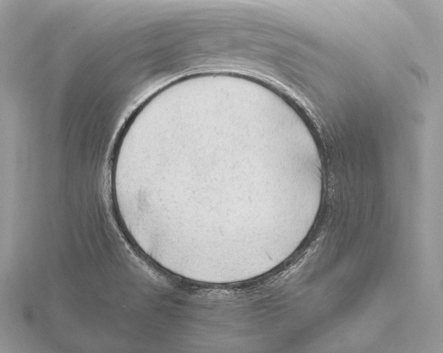 X0000115541517200912041000