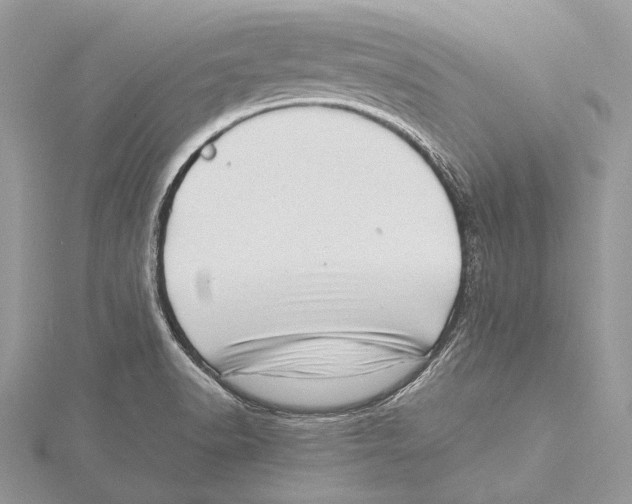 X0000115541518200912041000