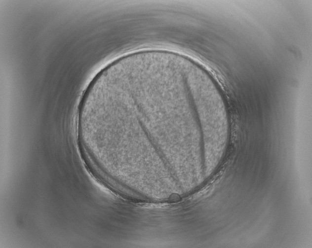 X0000115541519200912041000