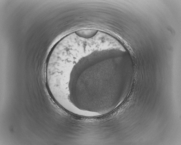 X0000115541522200912041000