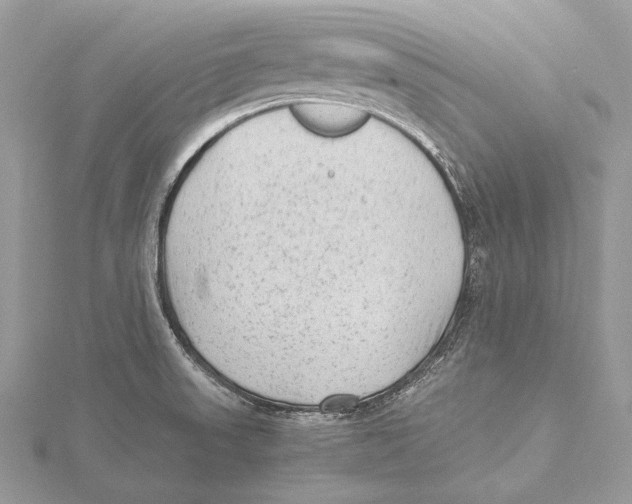 X0000115541523200912041000