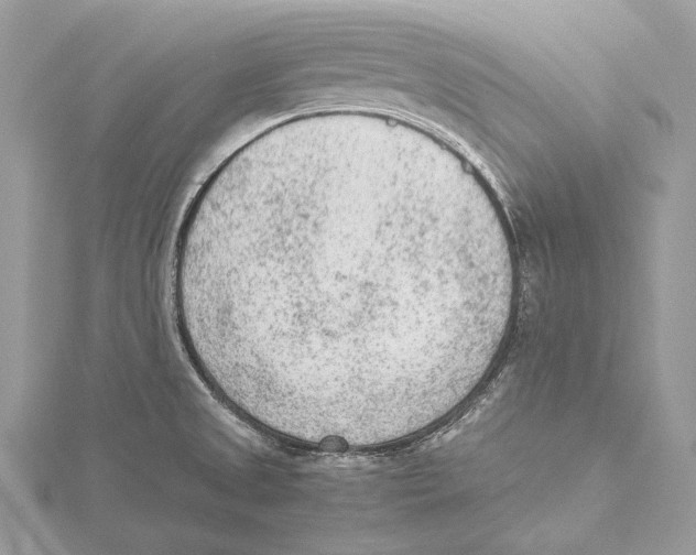 X0000115541525200912041000