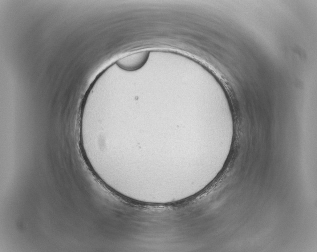 X0000115541526200912041000