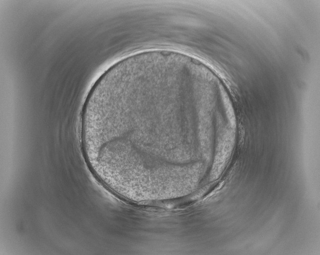 X0000115541527200912041000