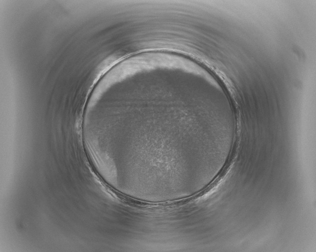 X0000115541529200912041000