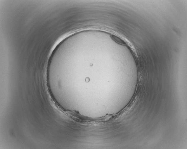 X0000115541530200912041000