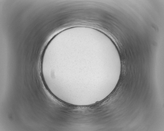 X0000115541531200912041000