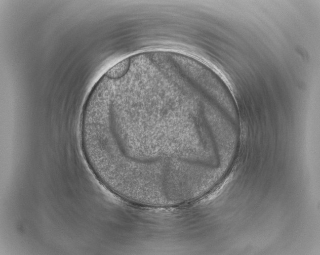 X0000115541533200912041000