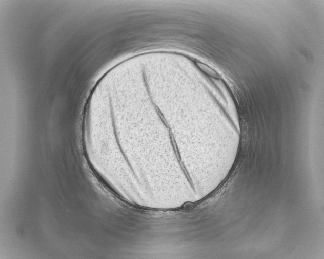 X0000115541534200912041000