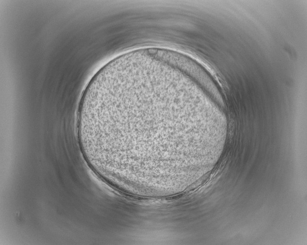 X0000115541535200912041000