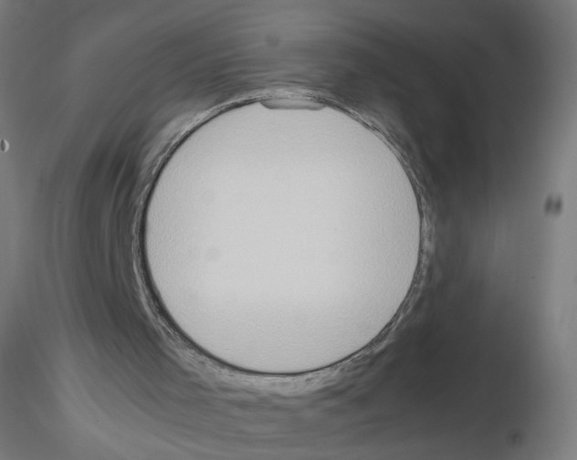 X0000115540001200912181540