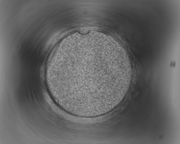 X0000115540002200912181540