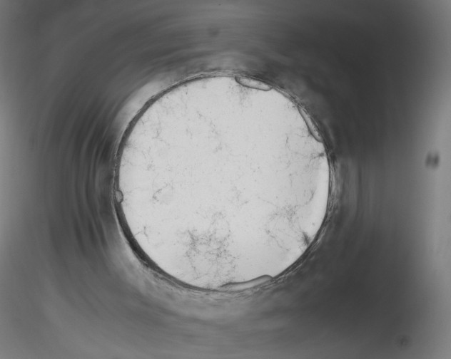 X0000115540003200912181540