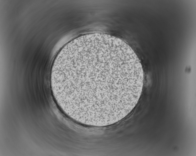 X0000115540004200912181540