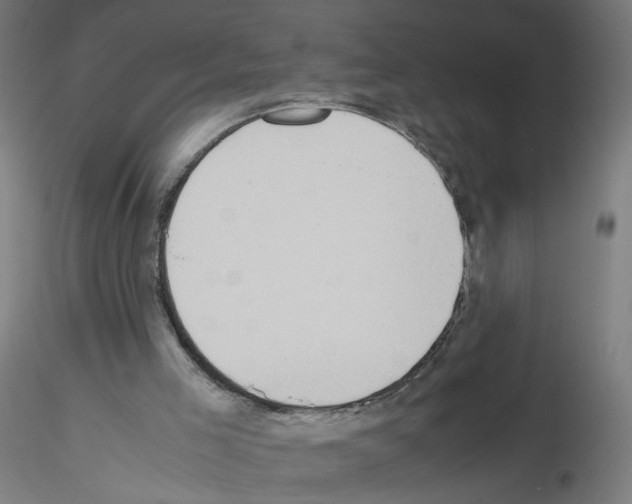 X0000115540005200912181540