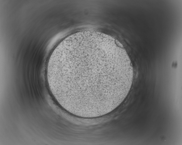 X0000115540006200912181540