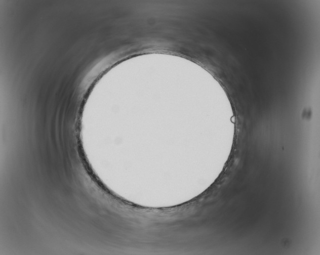 X0000115540007200912181540