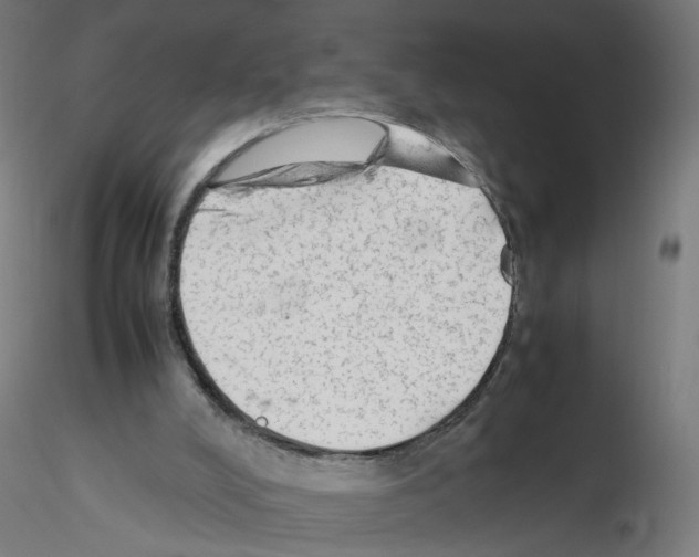 X0000115540008200912181540